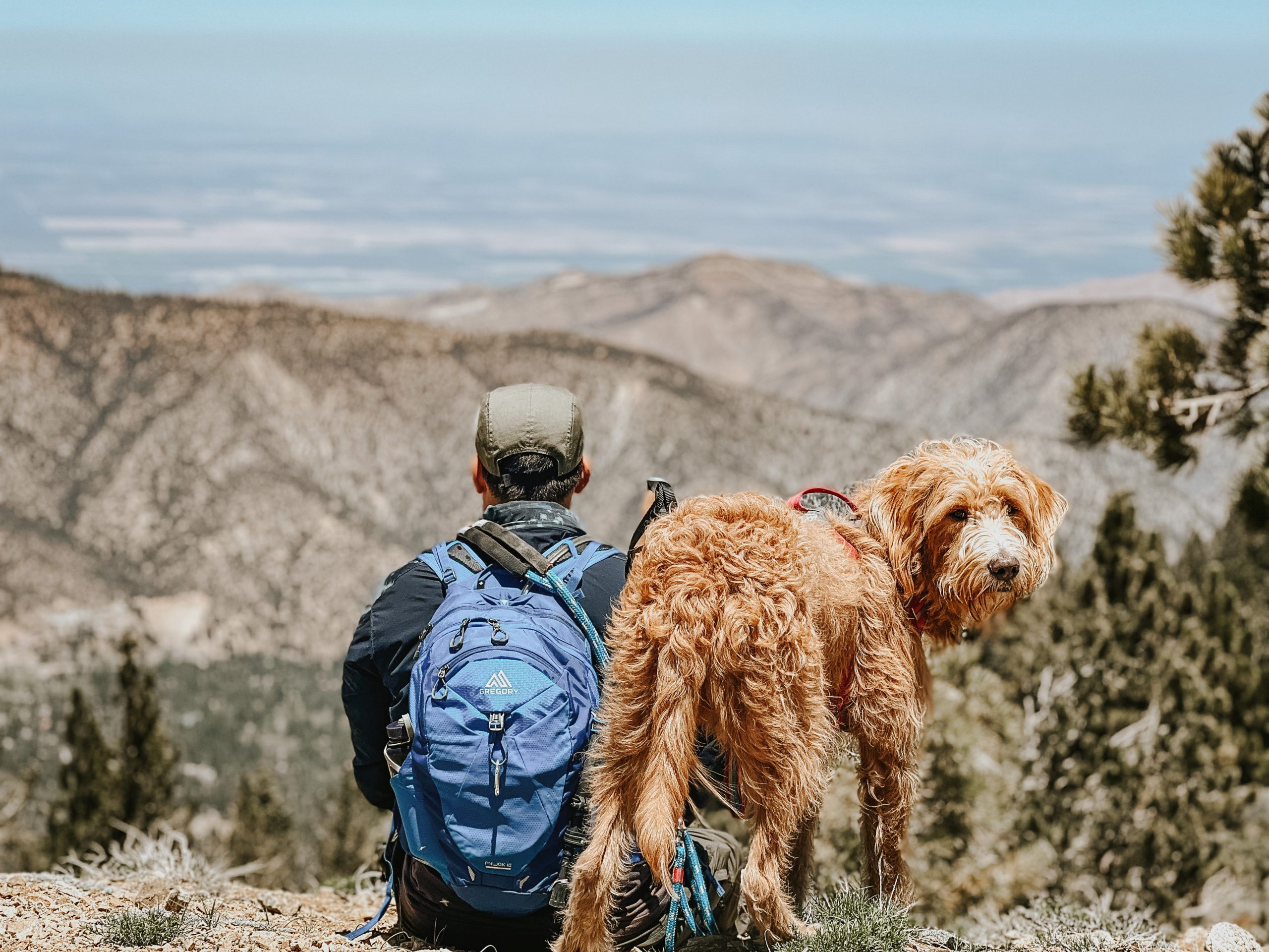 Jon and Rado sit overlooking the views from Sawmill Mountain. Rado is turned back looking at the camera.