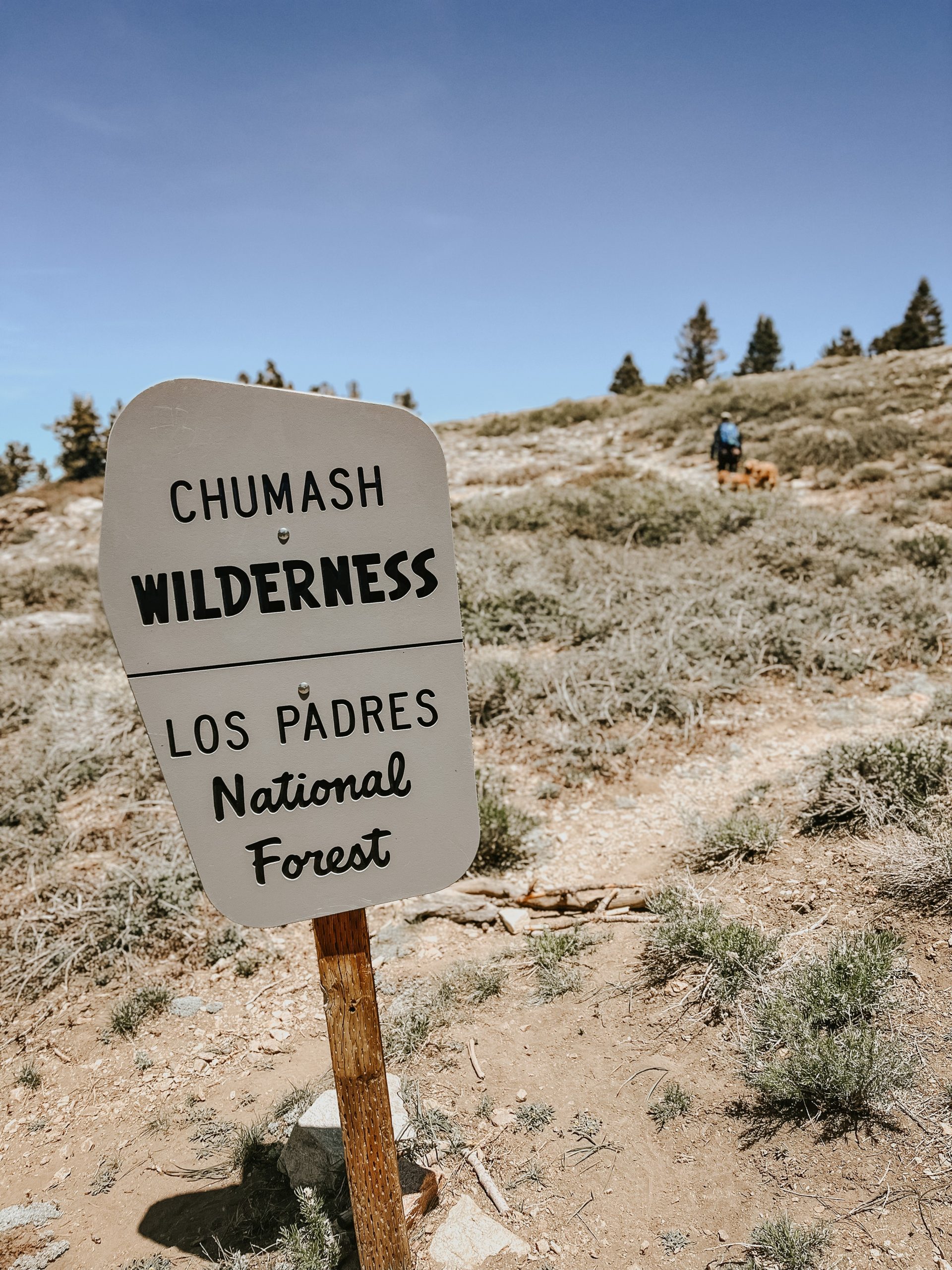 A grey sign reads 'Chumash Wilderness' and 'Los Padres National Forest'. Behind the sign is Jon and two dogs walking up the trail.