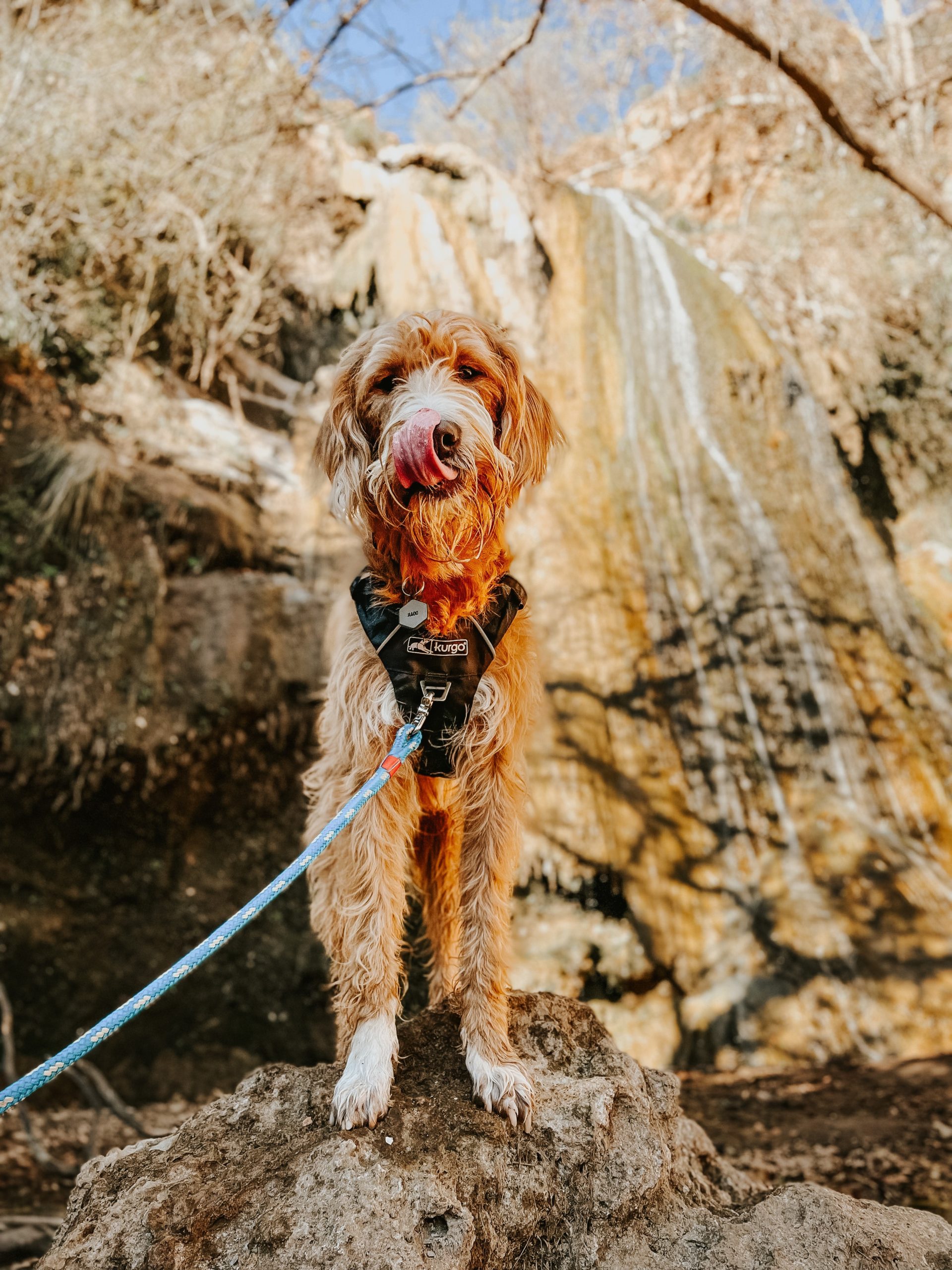 Rado stands with his tongue out in front of Escondido Waterfall.