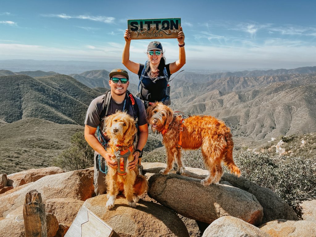 Julianna, Jon, Chase and Rado stand on top of Sitton Peak.