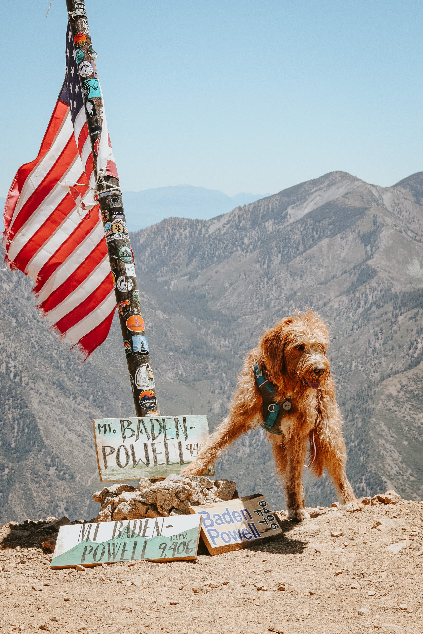 Chase stands at the summit of mount baden-powell. Next to him are Summit signs and the american flag.